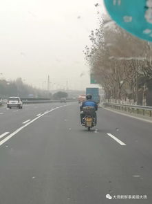 莫拿生命當(dāng)兒戲 行人非機(jī)動(dòng)車上高速公路，危險(xiǎn)至極